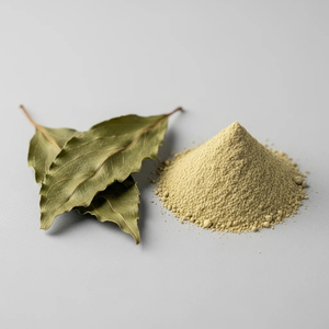 Extrait de feuilles de Gymnema Sylvestre de qualité supérieure en poudre, ingrédient végétal botanique, approvisionnement direct en vrac pour l'exportation - Product Image 1