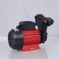 Hydroplus International - Bomba de Engranajes de Acero Inoxidable de 1 HP, Autocebante, de Baja Presión, para Uso Comercial, Entrada y Salida de 25 MM, Eléctrica