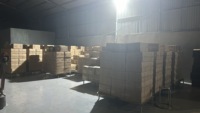 Vietnam Hochwertige frische rohe Cashewnüsse SP Geschmack volle leckere gesunde Snacks Sorgfältig für den Export ausgewählt