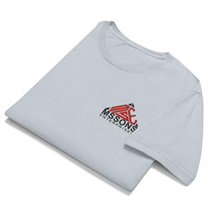 Camiseta Vintage para Hombre 100% Algodón Ecológico, Tendencia 2026, 300g, Fabricante Mayorista, Logotipo Personalizado, Directo de Fábrica, OEM - Product Image 4