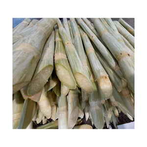 Caña de azúcar congelada al por mayor con precio competitivo de alta calidad de Vietnam | Exportación de caña de azúcar en todo el mundo - Product Image 6