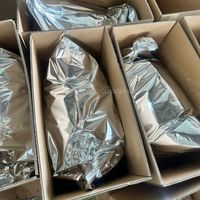 Bulk knapperige jackfruitchips voor wereldwijde markten