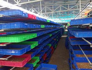 Larves de mouches soldat noires séchées - un excellent complément nutritionnel pour les animaux et les animaux domestiques (oiseaux, volailles, reptiles ou poissons) / Lima - Product Image 3