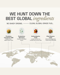 Proteína Vegana en Polvo de Chocolate Crudo, a Base de Plantas, para el Consumo Diario, Mezcla de Proteína Vegetal Natural para Batidos Nutritivos - Product Image 6