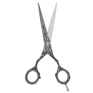 Ciseaux de coiffure en acier inoxydable de 10 pouces lames droites tranchantes pour la coupe de cheveux Instruments de beauté Instruments de soins de beauté - Product Image 1