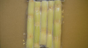 Caña de Azúcar congelada, a precio barato, de VIETNAM/MS Laries (+ 84) 85 250 8673 - Product Image 5