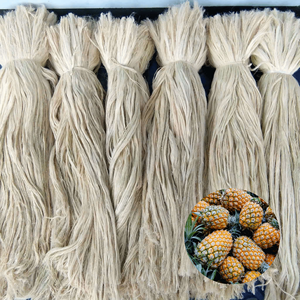 Fibra de Hoja de Piña Cruda de Primera Calidad, la Más Vendida, Oferta Especial, Suministro del Fabricante Vietnamita, Empacada en Bolsas de 10 kg - Product Image 1