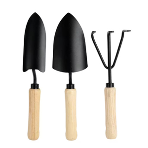 Ensemble d'outils de jardin avec manches en bois, truelle, râteau et fourche en acier inoxydable, finition polie, outils manuels pour l'entretien des plantes - Product Image 2