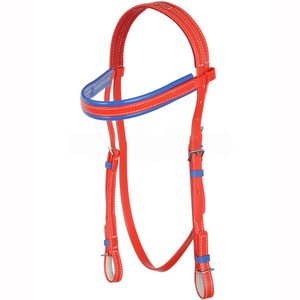บังเหียนม้าแบบมีแผ่นรอง PVC Biothane ขายส่ง กันน้ำ ผลิตตามสั่ง OEM สีสันสดใส ทนทาน สำหรับขี่ม้าแบบ Endurance และ Dressage - Product Image 4
