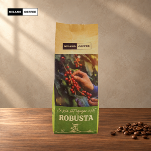 กาแฟโรบัสต้าเมล็ดเต็มคั่วอ่อน 100% กระบวนการธรรมชาติ บรรจุถุง 250 กรัม สำหรับ EU (ฉลากสินค้าส่วนตัว) - Product Image 3