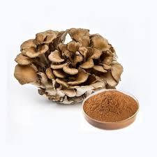 Polvo de Hongo Maitake de Alta Potencia, Orgánico, al por Mayor, Extracto de Superalimento en Polvo para Suplementos de Salud y Alimentos Funcionales - Product Image 3