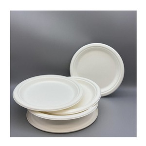 แผ่นกลมขนาด12นิ้วแบบใช้แล้วทิ้งพร้อม4 CP - Product Image 6