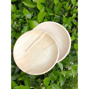 Square Palm Leaf <b>Disposable</b> <b>Plates</b> Biodegradable Compostable Eco-Friendly Dishwasher Safe Freezer Safe Takeaway Casual Style - Product Image 6