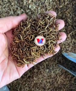 Larves de Mouches Soldat Noires Séchées Naturelles, Friandise pour Animaux, Aliment Entier pour Insectes, Riche en Protéines, Sans Céréales pour Oiseaux - Product Image 5
