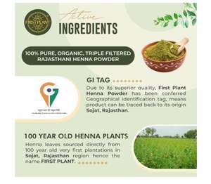 Poudre de henné premium du Rajasthan |   Henné en poudre 100% biologique et soins capillaires I Henné certifié GI directement des fermes (350 g) - Product Image 3
