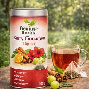 Sachets de thé à la cannelle et aux baies tropicales, extrait d'herbes naturelles, vente en gros, formule végétale riche en nutriments, pour une vie saine - Product Image 3