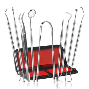 2026 Customized High Quality Stainless Steel Manual Dental Examination Kit with Dental Mirror and <b>Tooth</b> Care <b>Tools</b> - Product Image 2