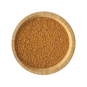 Semillas de Mostaza Amarilla Secas de Alta Calidad, Granos Crudos Naturales, Alimento Saludable - Product Image 1