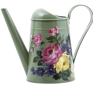 Nouvel Arrivage Arrosoir en Métal Émaillé Peint à la Main pour Plantes d'Intérieur et d'Extérieur, Jardin et Arrosage des Pots - Product Image 4