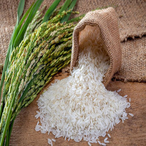 Arroz Jazmín de Primera Calidad al por Mayor, Listo para Enviar, Grado Alimenticio, Servicio OEM, Suministro a Granel, Exportación de la Mejor Calidad - Product Image 5