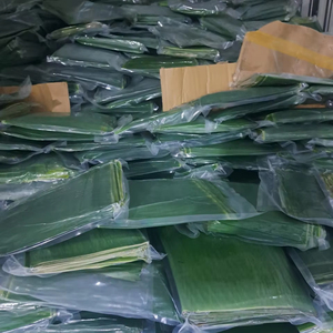Hojas de Plátano Frescas de Vietnam, Empaquetadas en Bolsa, para Envolver Alimentos, Asar al Horno, Calidad Premium, Grado A, 1 kg, Mejor Precio - Product Image 5