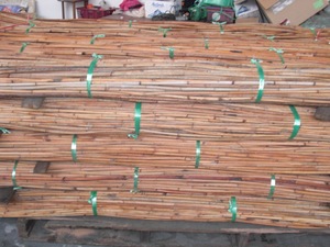 Rotin Baladi Premium Fabriqué à Singapour Anti-Termites Poli 10/15mm 20/25mm pour Meubles d'Intérieur et d'Extérieur Artisanat Cœur de Rotin 3 à 6 cm - Product Image 2