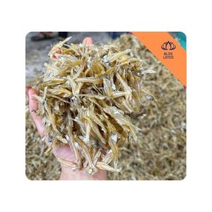 มีจำหน่าย |   บลูโลตัสฟาร์ม เอฟดี ปลาแอนโชวี่แห้ง อาหารทะเล คาร์โบไฮเดรตต่ำ บรรจุภัณฑ์ขนาดใหญ่ สำหรับทำซุป ซอส น้ำซุป บะหมี่ ข้าว และอาหารต่างๆ - Product Image 1