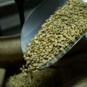 กาแฟโรบัสต้าเวียดนาม เมล็ดกาแฟดิบธรรมชาติ ไม่ผ่านการคั่ว เกรดส่งออก OEM ODM ปริมาณมาก ความชื้น 12% จำหน่ายส่งทั่วโลก - Product Image 4