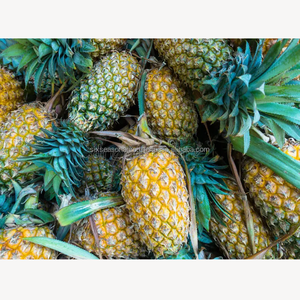 สับปะรดสดพรีเมียม ผลไม้เขตร้อนหวานฉ่ำ คุณภาพส่งออก ขายส่งจำนวนมาก จากบังกลาเทศ ซิกซ์ ซีซั่น อะโกร - Product Image 4