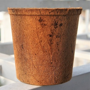 Maceta de Fibra de Coco BEST CHOICE, Diseño Moderno Ecológico, Uso en Hogar y Jardín, Herramienta de Soporte Confiable, Decoración para Eventos de Gran Inauguración - Product Image 6