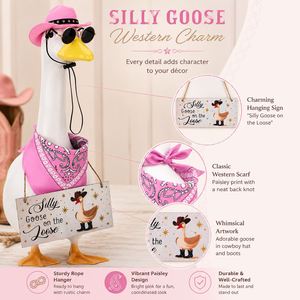 Pink Western Goose Costume Cowboy Hat Sunglasses Paisley Scarf <b>Wooden</b> <b>Sign</b> Porch Yard Decor - Product Image 3