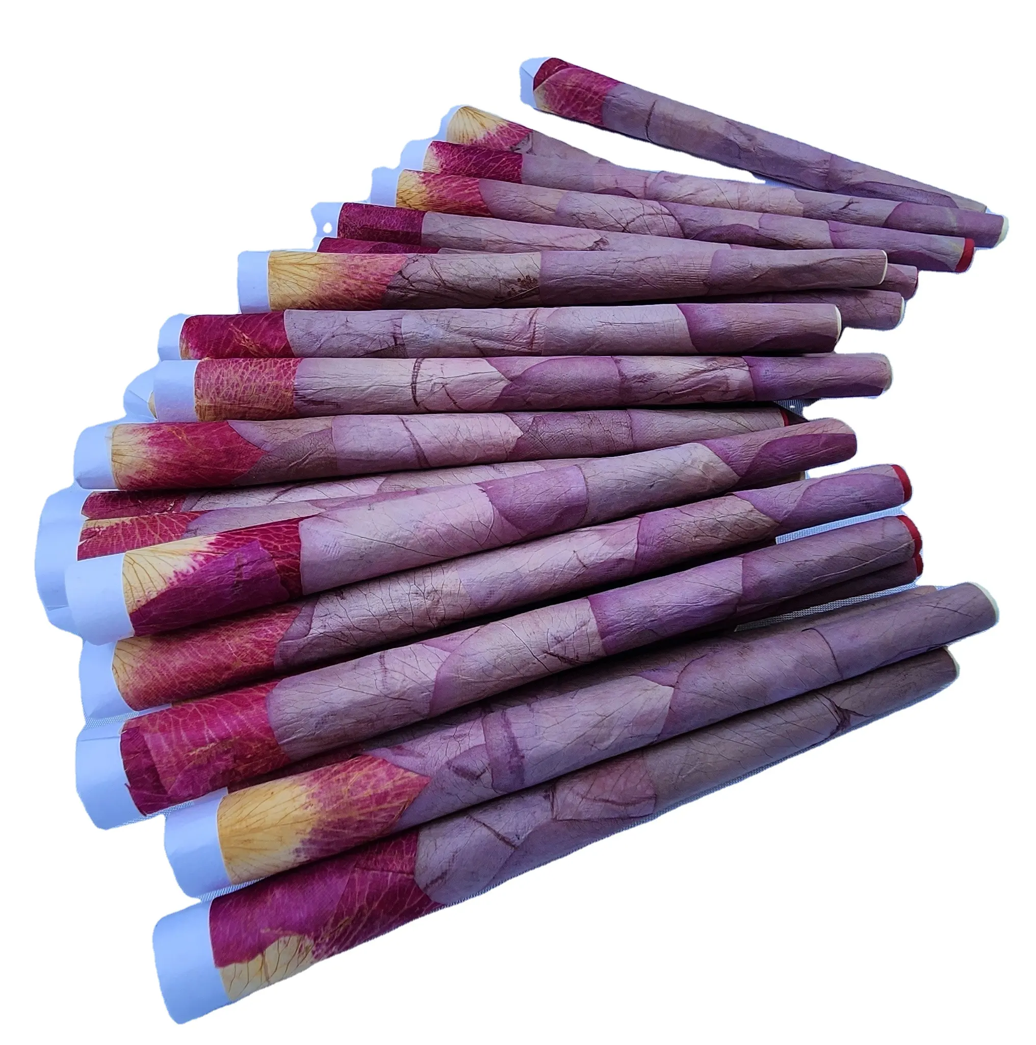 Colori succulenti esoticamente diversi coni rosa sfumature di colore unico rosso brillante giallo bordeaux rosa viola crema bianco blu