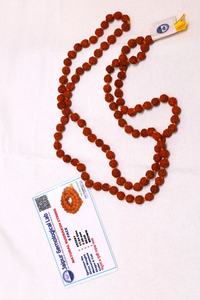 Collier de perles spirituelles traditionnelles en Rudraksha 5 Mukhi écologique certifié pour le yoga – Vente en gros - Product Image 1
