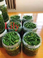 Chili vert mariné frais et épicé-exportateur du Vietnam/lys