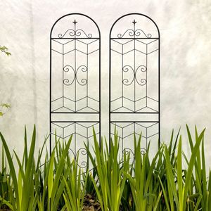 Set di 2 Tralicci da Giardino in Metallo Antiruggine 220 cm x 50 cm Neri, Supporto per Fiori da Esterno per Piante Rampicanti - Product Image 6