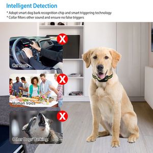 Collare Antiabbaio per Cani Ricaricabile e Impermeabile con Segnale Acustico, Vibrazione e Stimolazione Statica - Product Image 3