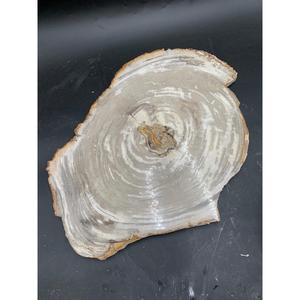 Tranche de bois pétrifié naturel indonésien 50x45x2 cm Bois poli pour étagères murales Décoration intérieure Affichage - Product Image 1