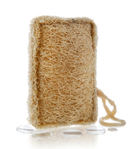 Esponja de Cocina de Luffa Natural Antiarañazos al por Mayor, Estropajo Resistente Biodegradable, Herramienta de Limpieza de Marca Privada - Product Image 1
