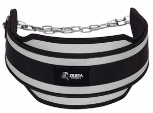 Coexistence Adjustable Neoprene Fitness Dip Belt with Non-Slip Buckle Breathable for Squats Deadlifts Powerlifting for Men Women - Product Image 5