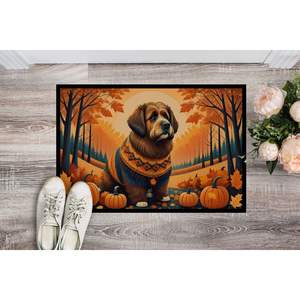 Briard Fall Doormat Non-Slip Washable Low Pile 24H X 36W Indoor and <b>Outdoor</b> Entryway <b>Mat</b> for Front Door - Product Image 2