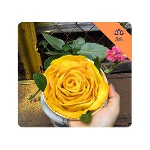 Premium Quality <b>Dried</b> Soft <b>Mango</b> Rich Tropical Aroma Sweet Flavor Chewy Snack Perfect for Daily Enjoyment and Quick Energy - Product Image 1