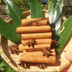 Canela en Barra de Yen Bai, Vietnam, de la Mejor Calidad, Precio Competitivo, Exportación de Nueva Cosecha, Canela Seca en Rollos, Sin OMG - Product Image 5
