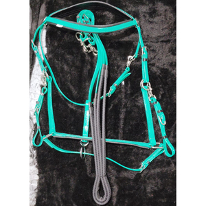 POUR VENDRE PVC SANGLE Brides décoratif HORSE bride COULEUR GRIS ET BLEU AVEC ROUILLE RACCORDS EN DOLLAR 8 - Product Image 6