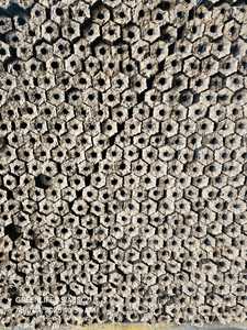 Máquina para Briquetas de Carbón de Aserrín Hexagonal, Hecha con Ceniza Blanca y Madera Dura y Blanda para Parrillas de Barbacoa del Mercado de Oriente Medio - Product Image 2