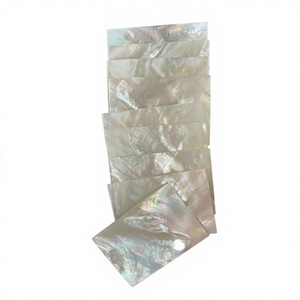 Láminas de Concha de Abulón Crudo Rectangulares Irregulares con Brillo Pulido, Paneles Artesanales con Tema Floral para Decoración del Hogar DIY, Regalo Empresarial - Product Image 2