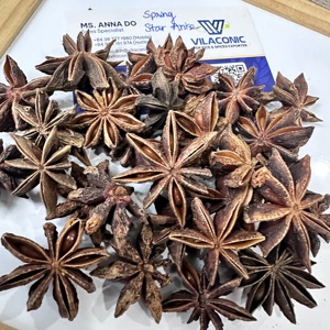 Anís estrellado entero seco, especias alimentarias naturales de alto aroma, suministro al por mayor para importadores y distribuidores de Emiratos Árabes Unidos y Oriente Medio/ ANNA DO - Product Image 6
