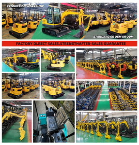 <span class=keywords><strong>Mini</strong></span>-excavatrice puissante de 1,5 tonne pour la construction et l'agriculture - Product Image 2