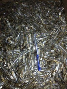 Anchoas Secas Premium, Pura Comida Natural de Mar, Suministro a Granel para Minoristas Globales y Proveedores de Servicios de Alimentos, Suministro Internacional - Product Image 6