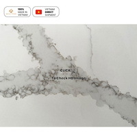 Sans silice Cringe-Worthy Fabuleux Minimaliste Résidentiel Ingénierie Appartement Artificielle Quartz Pierre Cuisine Benchtop Dalle
