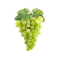Verse Groene Druiven Premium Kwaliteit 100% Natuurlijk Sappig Zoet voor Groothandel en Wereldwijde Exportmarkten